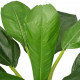 Mākslīgais augs, banānkoks ar podiņu, 150 cm, zaļš
