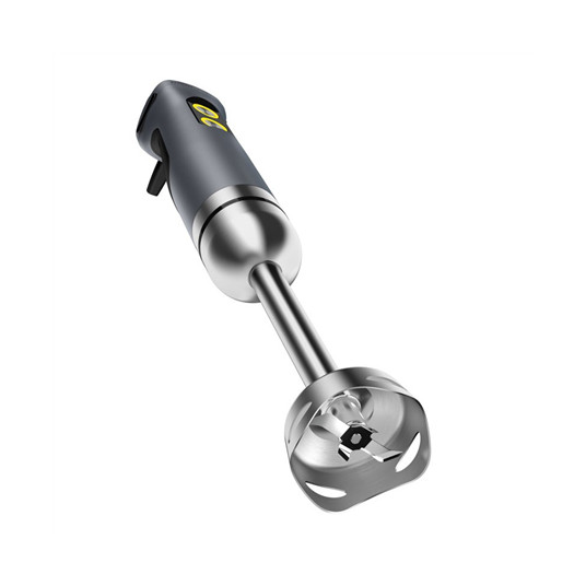 Blenderis Stick blenderis Carrera Grey / Nerūsējošā