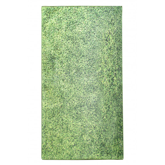 Durvju paklājs (80 x 150) Conceptum Hypnose Grass - Daudzkrāsains