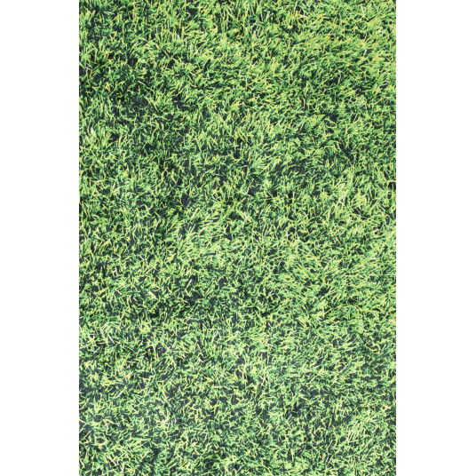 Durvju paklājs (80 x 150) Conceptum Hypnose Grass - Daudzkrāsains