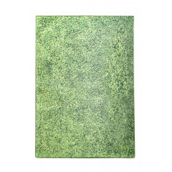 Paklājs (160 x 230) Conceptum Hypnose Grass - Daudzkrāsains