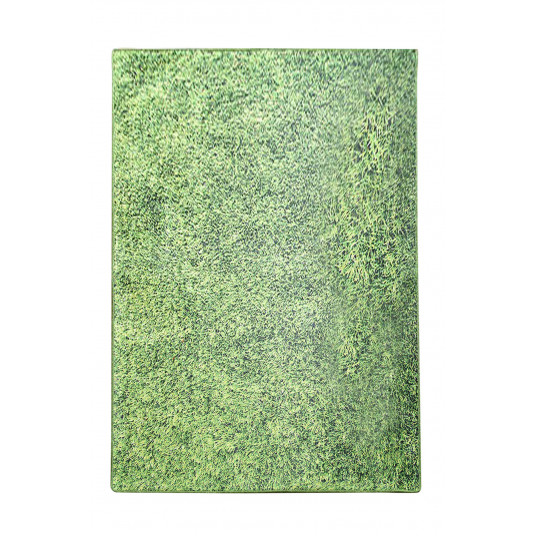 Paklājs (160 x 230) Conceptum Hypnose Grass - Daudzkrāsains