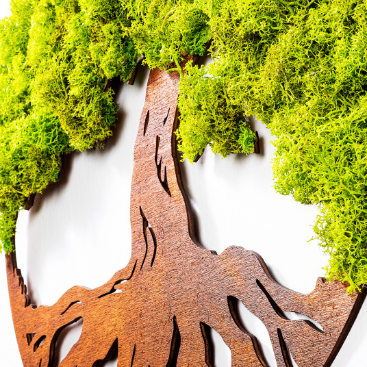 Dekoratīvs sienas piederums Wallxpert Tree Of Life 3 - Zaļš