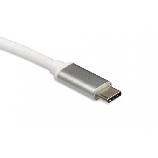 iBox IUH3CFT1 interfeisa centrmezgls USB 3.2 Gen 1 (3.1 Gen 1) Type-C 5000 Mbit/s Sudrabs
