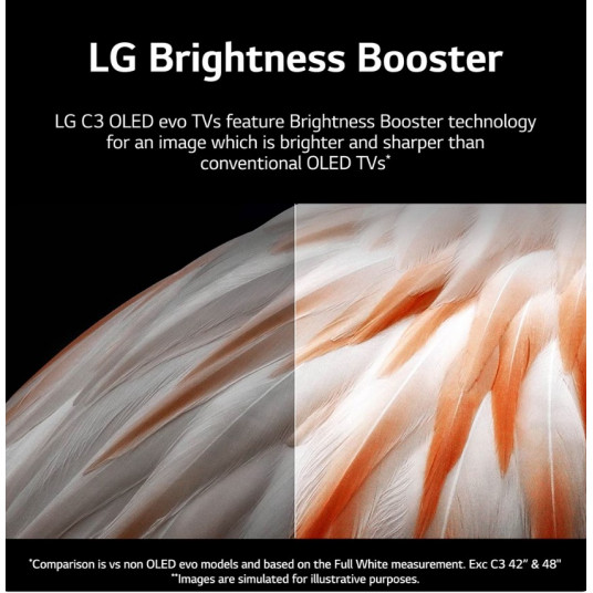 Televizors LG OLED65C31LA 4K OLED 65" Smart