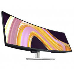 MONITORS LCD 49" U4924DW IPS/210-BGTX DELL