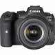 Canon EOS R6 + RF 24-105mm F4-7.1 IS STM