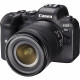 Canon EOS R6 + RF 24-105mm F4-7.1 IS STM