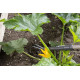 Statīvs "Natureline" Gardena 17108-20