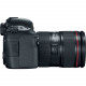 Canon EOS 6D Mark II EF 24-105mm f/4L IS II USM + BG-E21 (Akumulatoru bloks / turētājs)