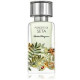 Salvatore Ferragamo Foreste Di Seta Edp Spray 100ml