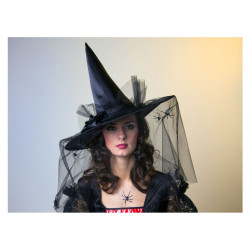 Eleganta raganas cepure ar tilla plīvuru