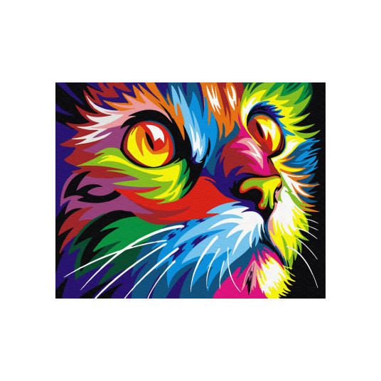 Glezniecība pēc cipariem Rainbow Cat 40x50