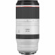 Canon RF 100-500mm f/4.5-7.1L IS USM