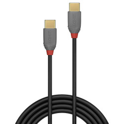 CABLE USB2 TIPA C 2M/ANTHRA 36872 LINDY
