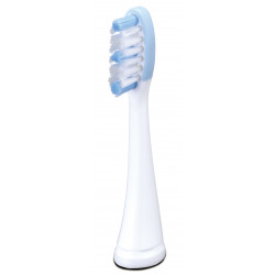 Panasonic Toothbrush replacement WEW0974W503 Heads, For adults, Number of brush heads included 2, Number of teeth brushing modes Not specified, White