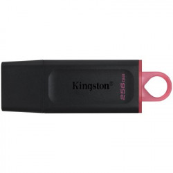 USB atslēga Kingston 256GB USB3.2 Gen1 DataTraveler Black+Pink