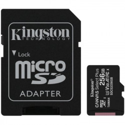 Atmiņas karte KINGSTON 256 GB Canvas Select Plus 100R A1