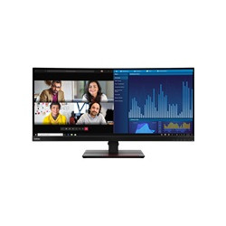 LENOVO ThinkVision P34w-20 34,14 collu TS