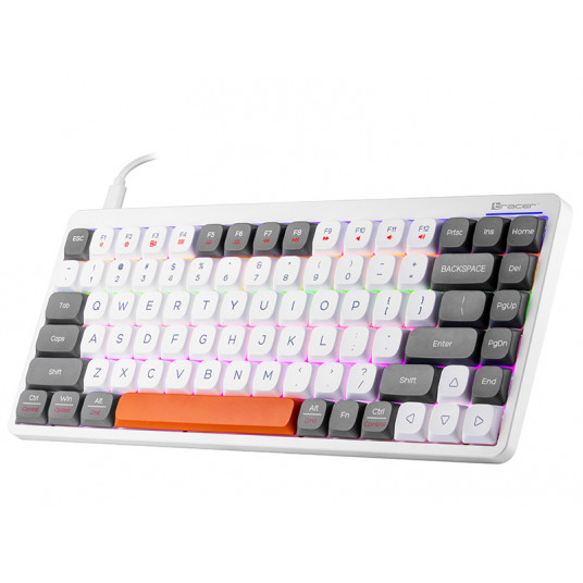 Tracer FINA 84 balts/melns Outemu Red Switch