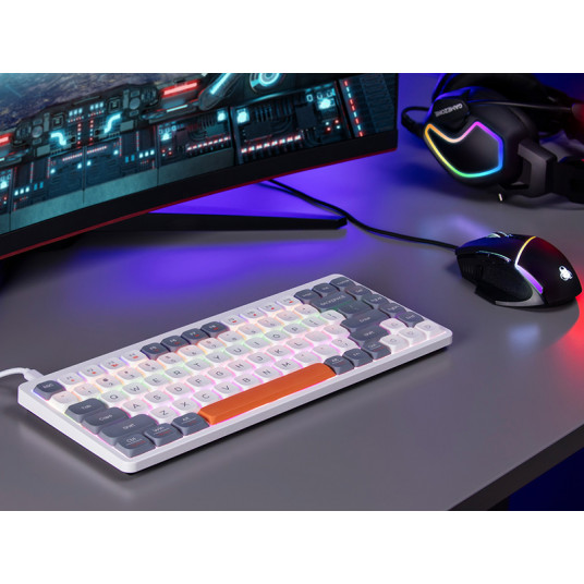 Tracer FINA 84 balts/melns Outemu Red Switch