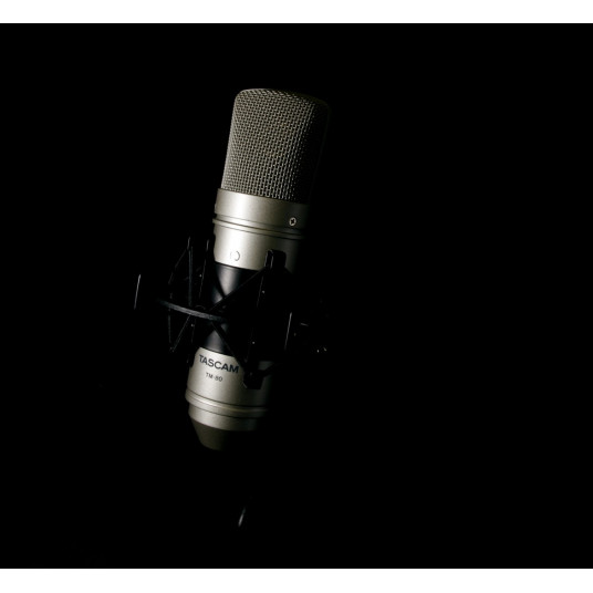 Tascam TM-80 mikrofons Gold Studio mikrofons