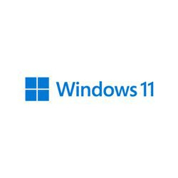 MS Windows 11 Pro FPP 64 bitu somu USB