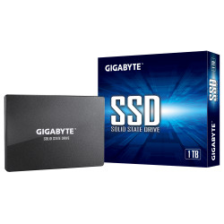 GSTFS31100TNTD Gigabyte GP-1000 GB, IC