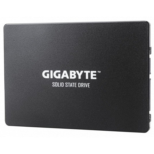 GSTFS31100TNTD Gigabyte GP-1000 GB, IC