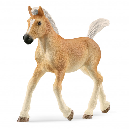 SCHLEICH HORSE CLUB Haflingera šķirnes kumeliņš