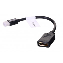 Lanberg AD-0003-BK DisplayPort kabelis 0,12 m Mini DisplayPort melns