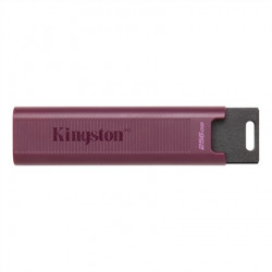 Kingston DataTraveler MAX 256 GB USB-A