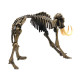 Mamuta skeleta 3D izrakumu komplekts ZA1777 B