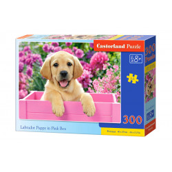 Puzle 300 gab. Labradora kucēns rozā kastē