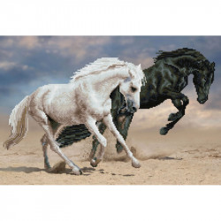 Dimanta mozaīka HORSE PLAY 42x62