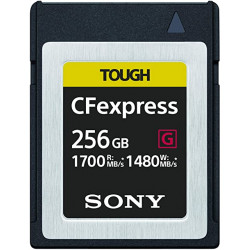 Sony CFexpress Type B 256GB