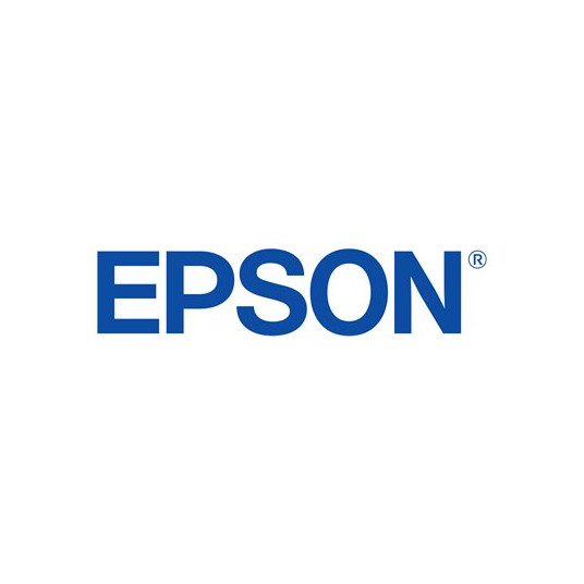 EPSON apkopes kaste T699700