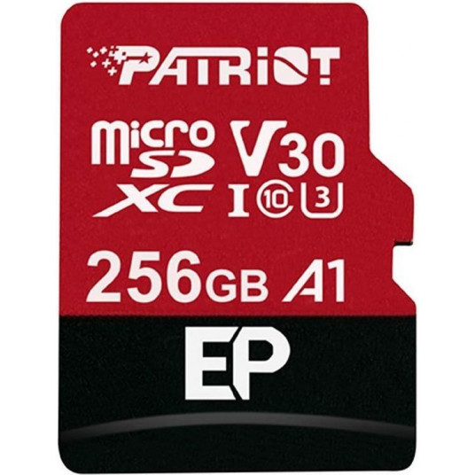 Atmiņas karte microSDXC 256GB V30