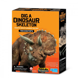 Izrakums - Triceratops
