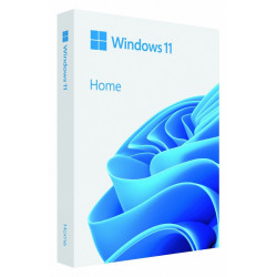 Windows Home 11 64 bitu PL USB zibatmiņas diska kaste HAJ-00116