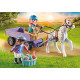 PLAYMOBIL ŪDENSKRITUMA ZIRGI Zirgu pajūgs 71496