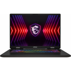 Sword 17 HX B14VFKG-008NL 17 165Hz i9-14900HX 16GB 1SSD RTX4060 W11