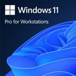 OEM Windows 11 Pro darbstacijām PL x64 HZV-00117