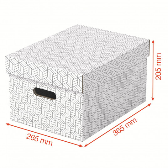 Glabāšanas kaste ESSELTE, ar vāku, 265x205x365 balti pelēka (3gab/iepakojumā), gab.