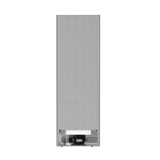 Ledusskapis GORENJE R619EES5