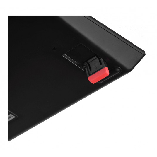 Lenovo 4Y41B69357 tastatūra USB QWERTY angļu (ASV) melna