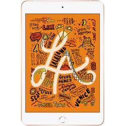 Planšetdators Apple iPad Mini Wi-Fi 256GB Gold 5th Gen MUU62HC/A