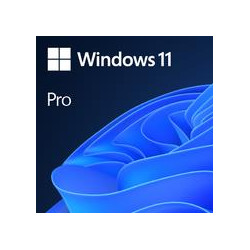 Programmatūra|MICROSOFT|Win 11 Pro GGK 64Bit Eng Intl 1pk DSP ORT OEI DVD|Win Pro|OEM|Angļu valodā|4YR-00316