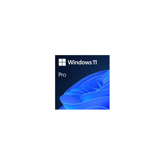 Programmatūra|MICROSOFT|Win 11 Pro GGK 64Bit Eng Intl 1pk DSP ORT OEI DVD|Win Pro|OEM|Angļu valodā|4YR-00316