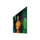 SAMSUNG 65" QM65C UHD 500 NITS 24/7 SOC WIFI
